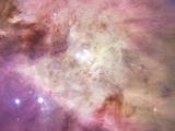 The Orion Nebula’s biggest stars