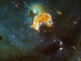 Supernova remnant menagerie