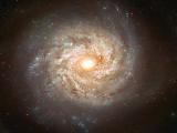 Galaxy NGC 3982