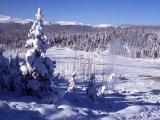 Norris Geyser Basin in the winter