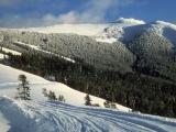 Mount Washburn in the winter as seen from Dunraven Pass