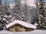 Fox Creek patrol cabin in the winter