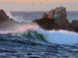 Asilomar Beach