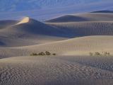 Sand Dunes